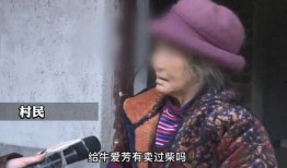 网友爆料采访视频大全最新,最新采访视频大全精彩瞬间大盘点